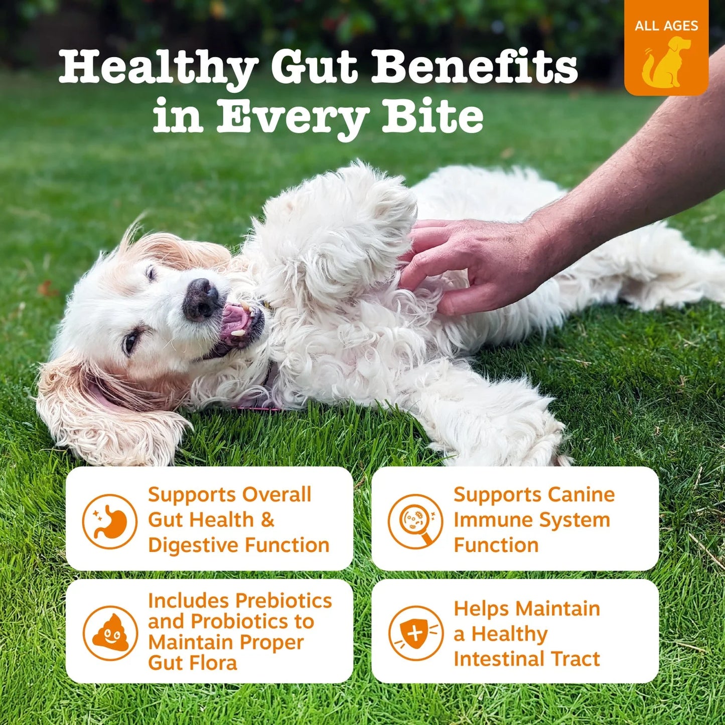 Probiotic Bites for Dogs, for Gut Health, Pumpkin 250Ct