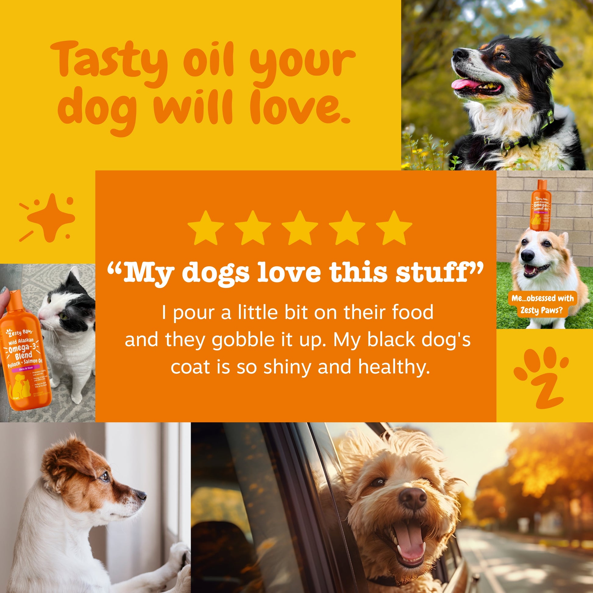 Wild Alaskan Omega + Salmon Oil for Dogs & Cats, Promotes a Healthy Coat & Skin, 16Oz