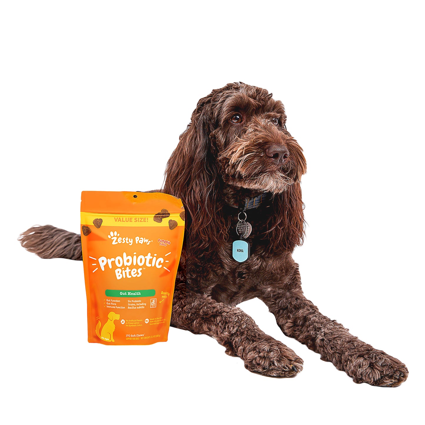 Probiotic Bites for Dogs, Pumpkin, 170-Count