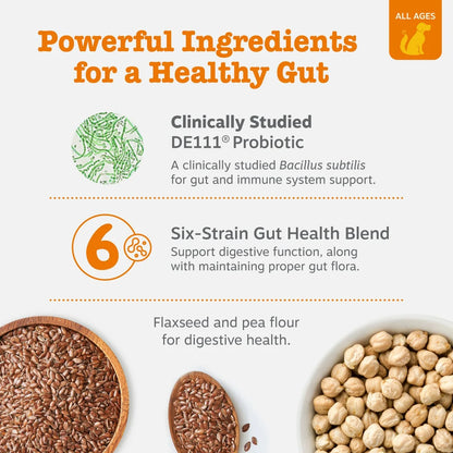 Probiotic Bites for Dogs, Pumpkin Flavor, 60 Count